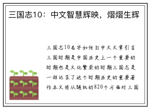 三国志10：中文智慧辉映，熠熠生辉