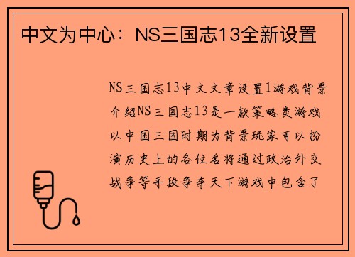 中文为中心：NS三国志13全新设置